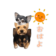 動く かわいい三姉妹犬スタンプ Lineスタンプ ちっちぐ