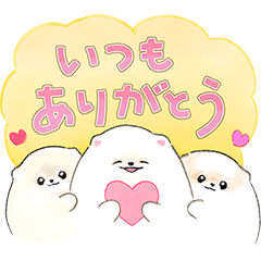 ぽぽちと仲間たち ずっと使える！ | LINEスタンプ | ぽこ